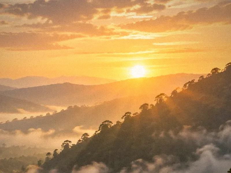 Sun rising over forested hills
