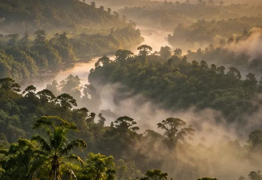 Morning fog in the valley